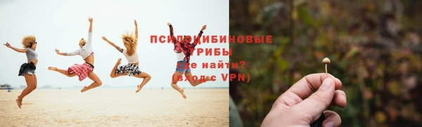 тгк Абинск