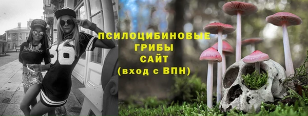 амф Абаза