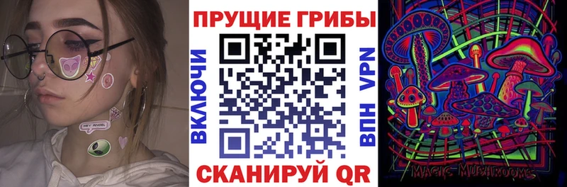 Псилоцибиновые грибы прущие грибы  что такое наркотик  omg рабочий сайт  Ленинградская 